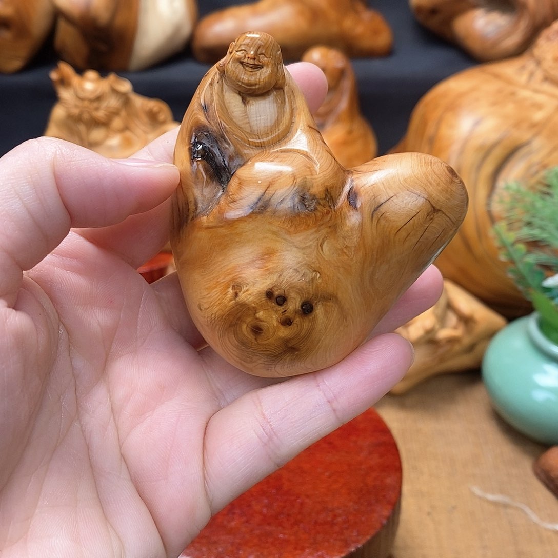 柏木（崖柏）一物一图