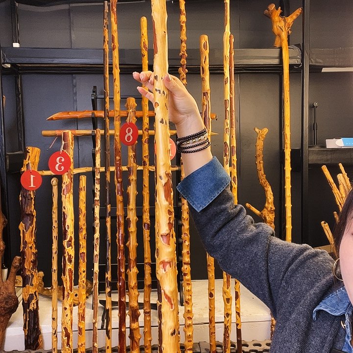 西**狼好好好好好好好好