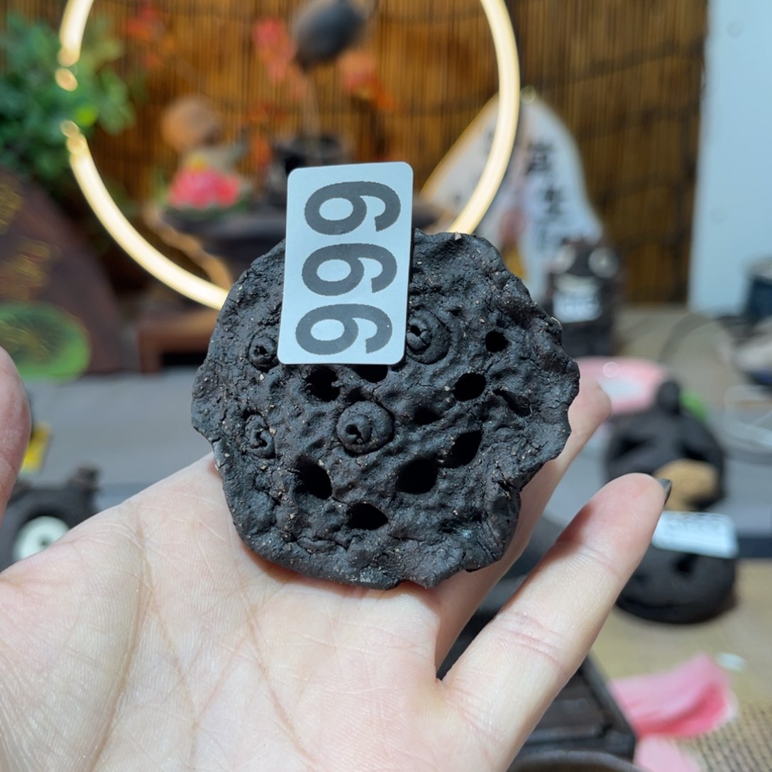 木村信弘柴烧保平