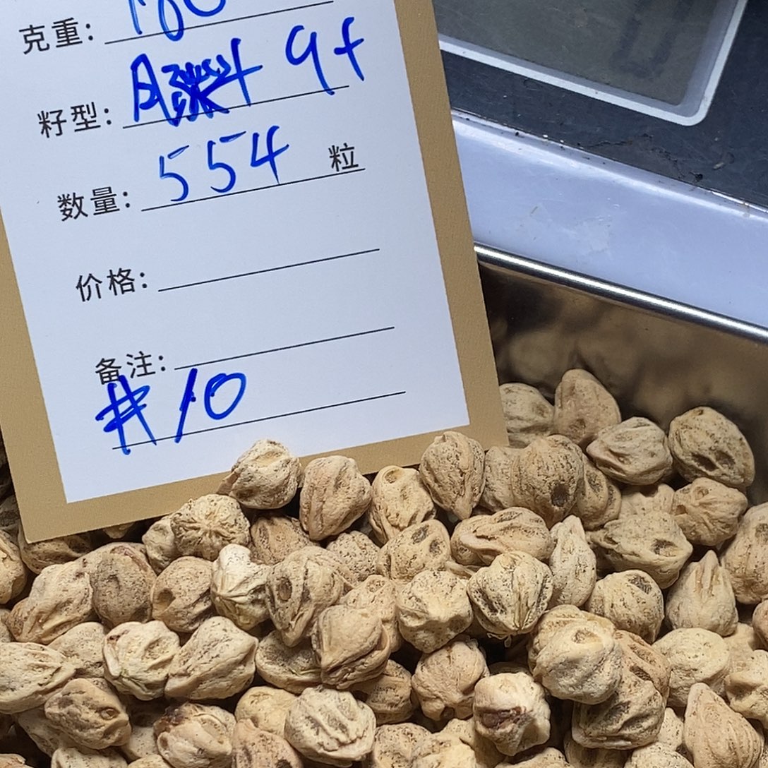 Y***G柏香籽/百香籽吊坠