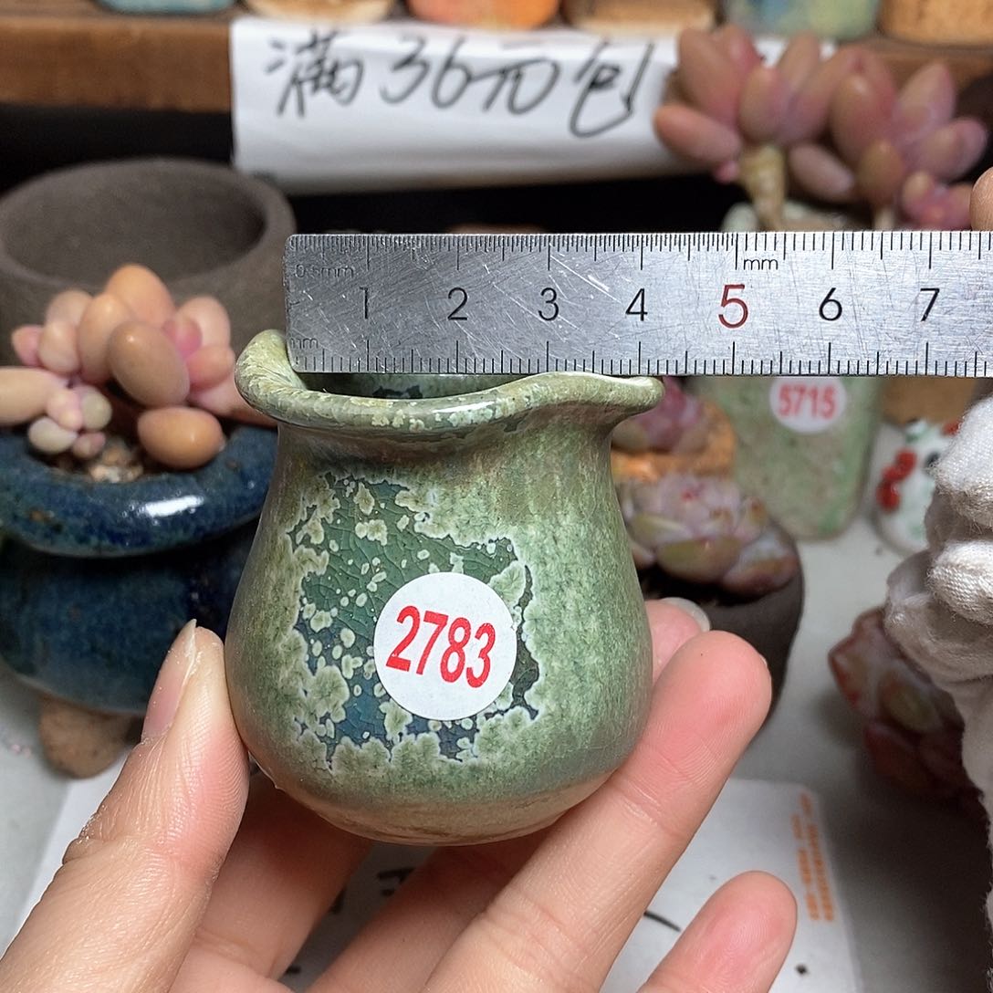 红陶拍5送一个小