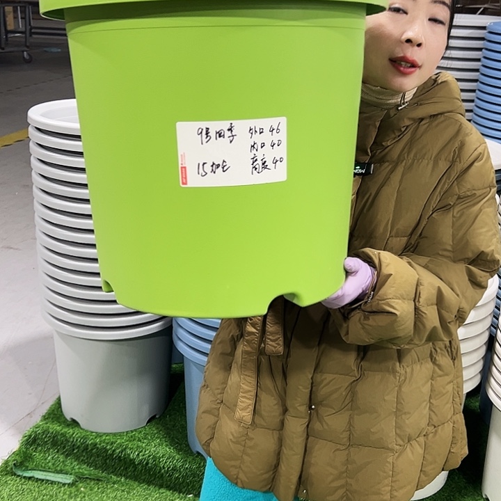 特价9号四季口46高40果绿4只无托