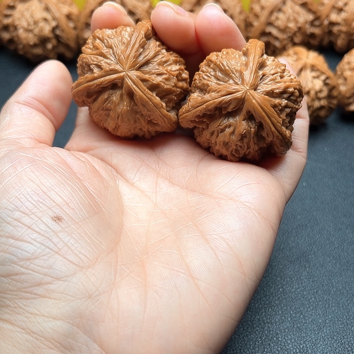 大***生核桃41尺白狮子拼接三棱