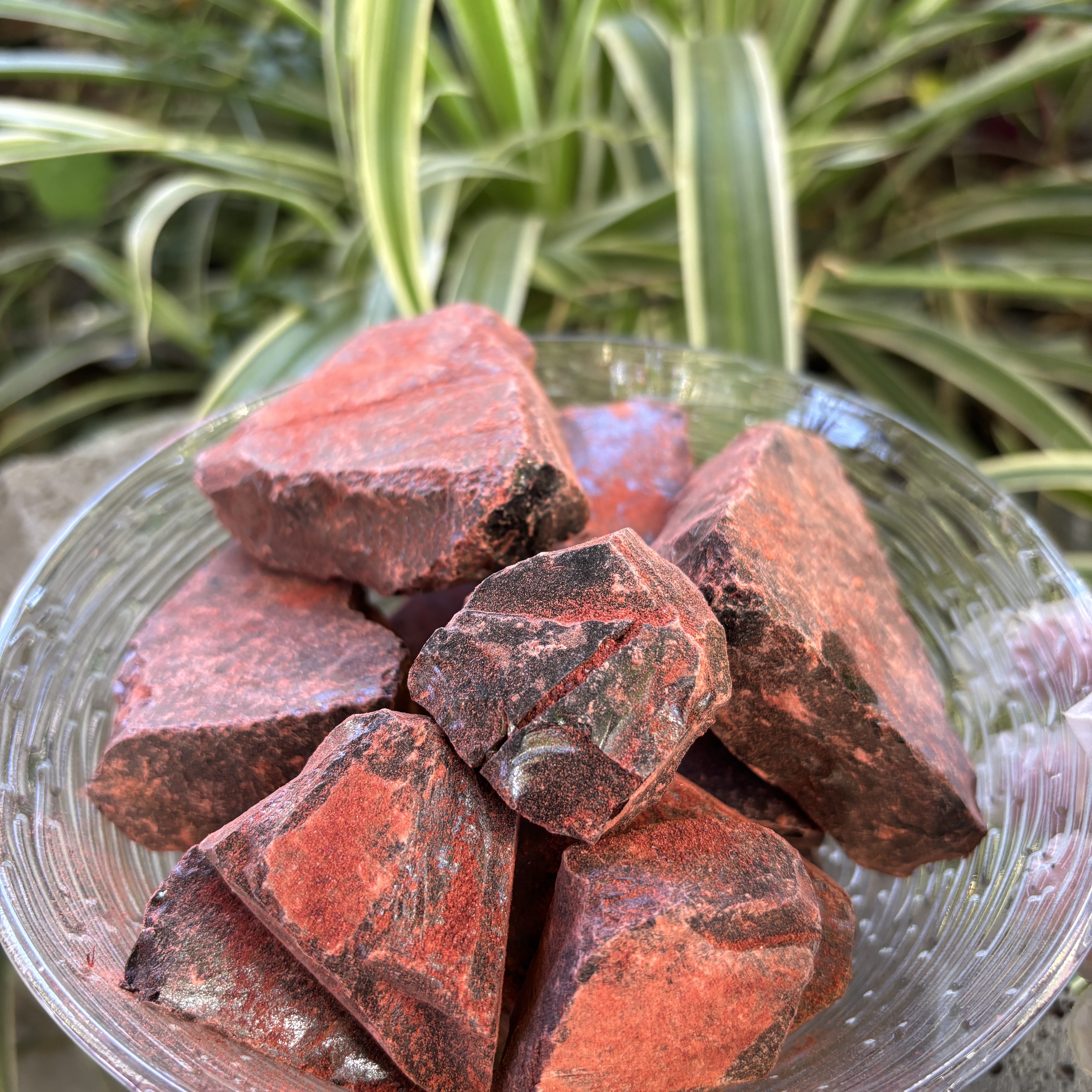 1【龙-血-竭-菇】净含量150g-500g【小天现收】