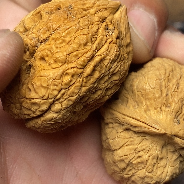 文玩核桃把件志成云铁文玩57