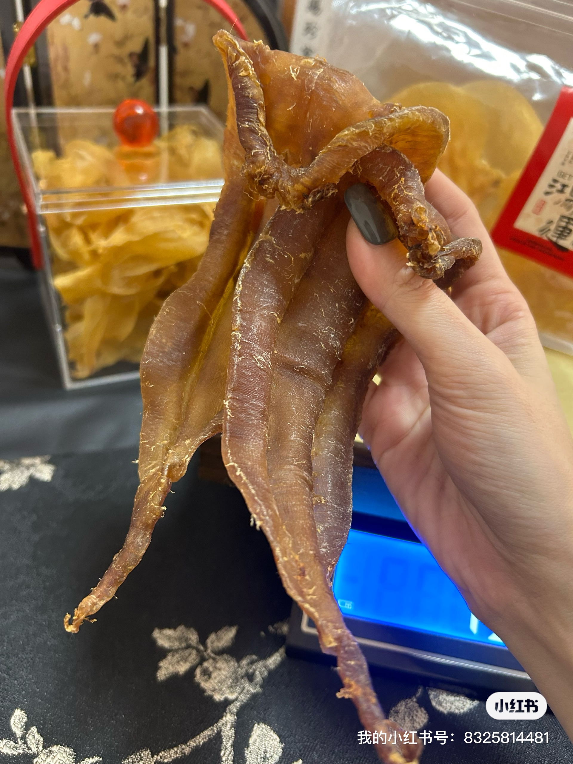 {直播间链接}正三门土鳘公鱼胶深海厚肉孕妇产后滋补营养干货