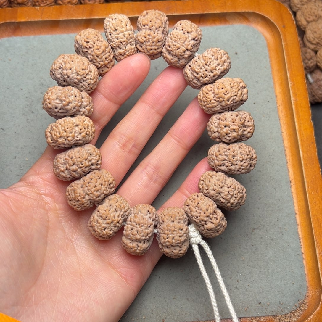 菩提12号金刚菩提菠萝蜜夹板24