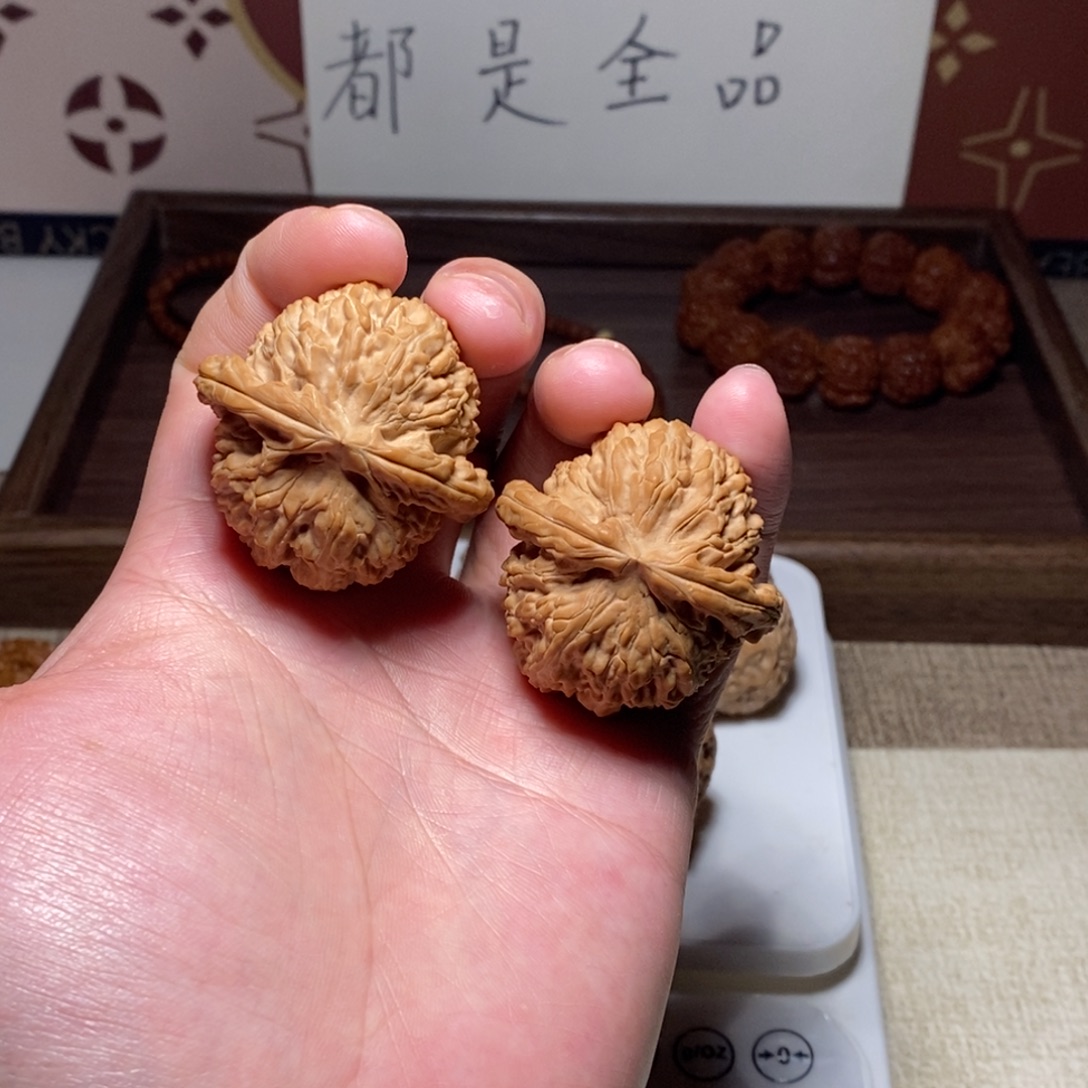 核桃全品白狮子43尺寸