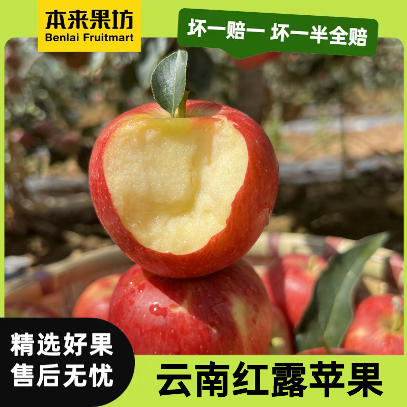  【本来果坊】云南昭通红露苹果 头茬小苹果 新鲜水果 产地直发 