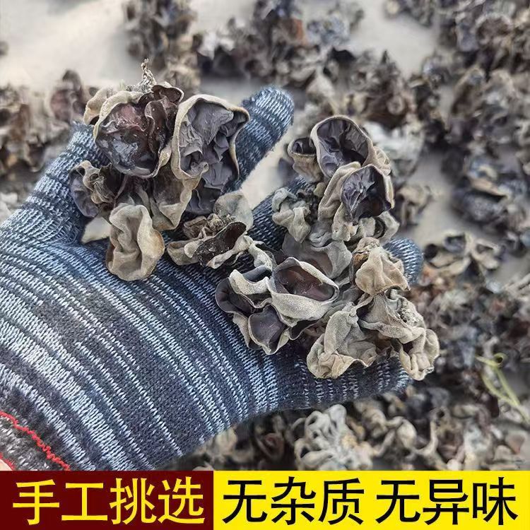 【自家种植】白背毛木耳干货木耳自然晾晒一斤装Q