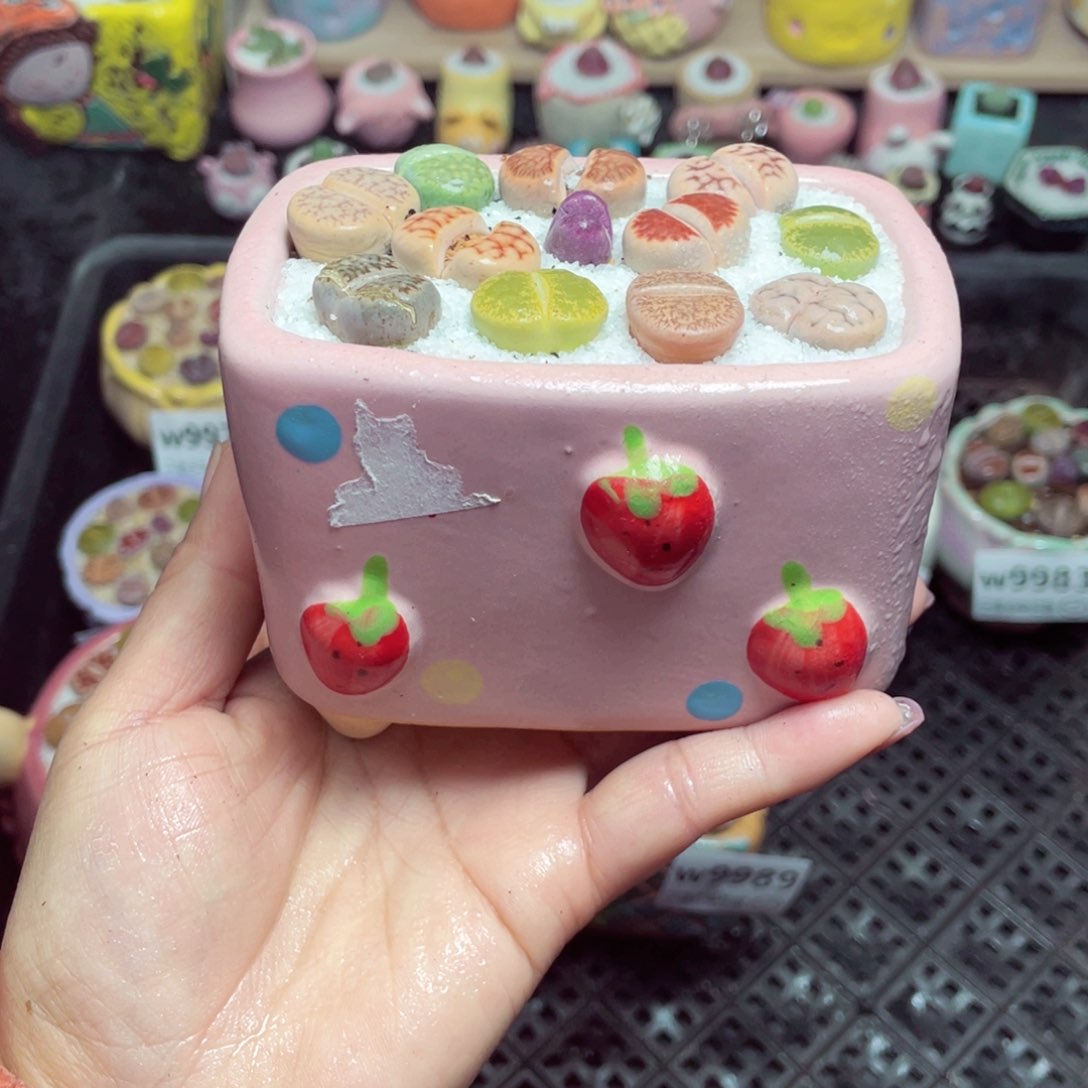 w9990 带盆土发货-零下地区拍保温箱