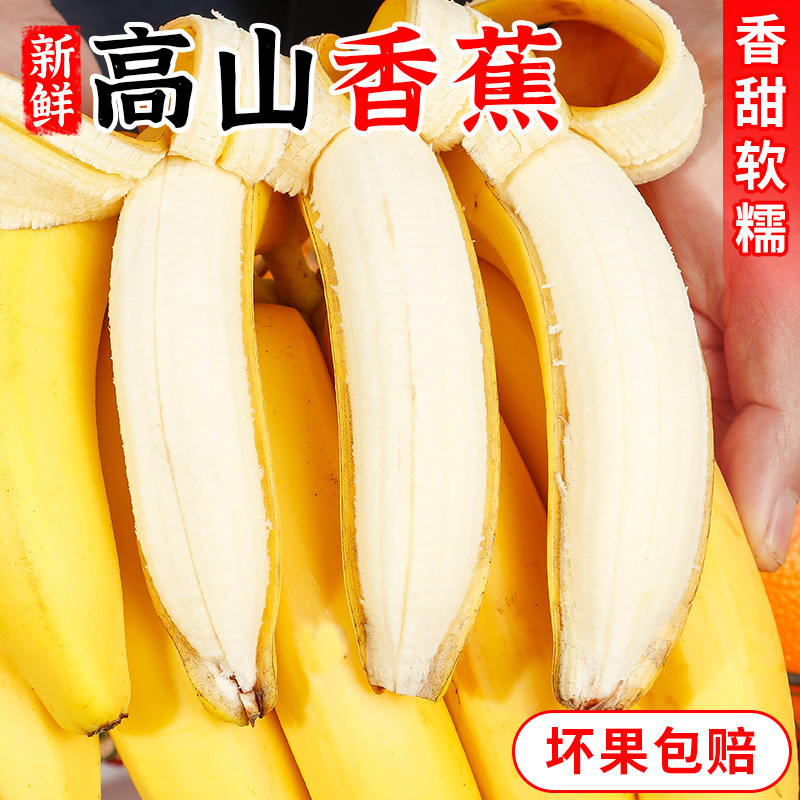 高山甜香蕉新鲜水果当季现摘大芭蕉小米蕉香甜软糯香蕉自然熟