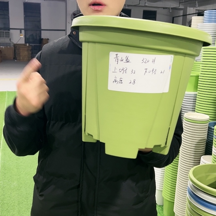 清仓青山口32高28果绿色5只无托