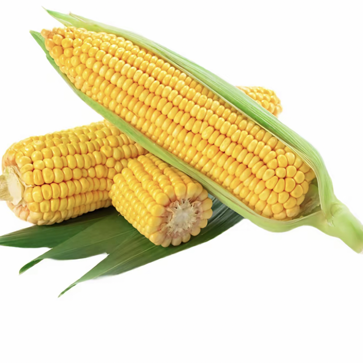 云南玉米代替链接