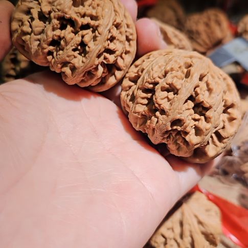 吊坠文玩核桃49.5粗