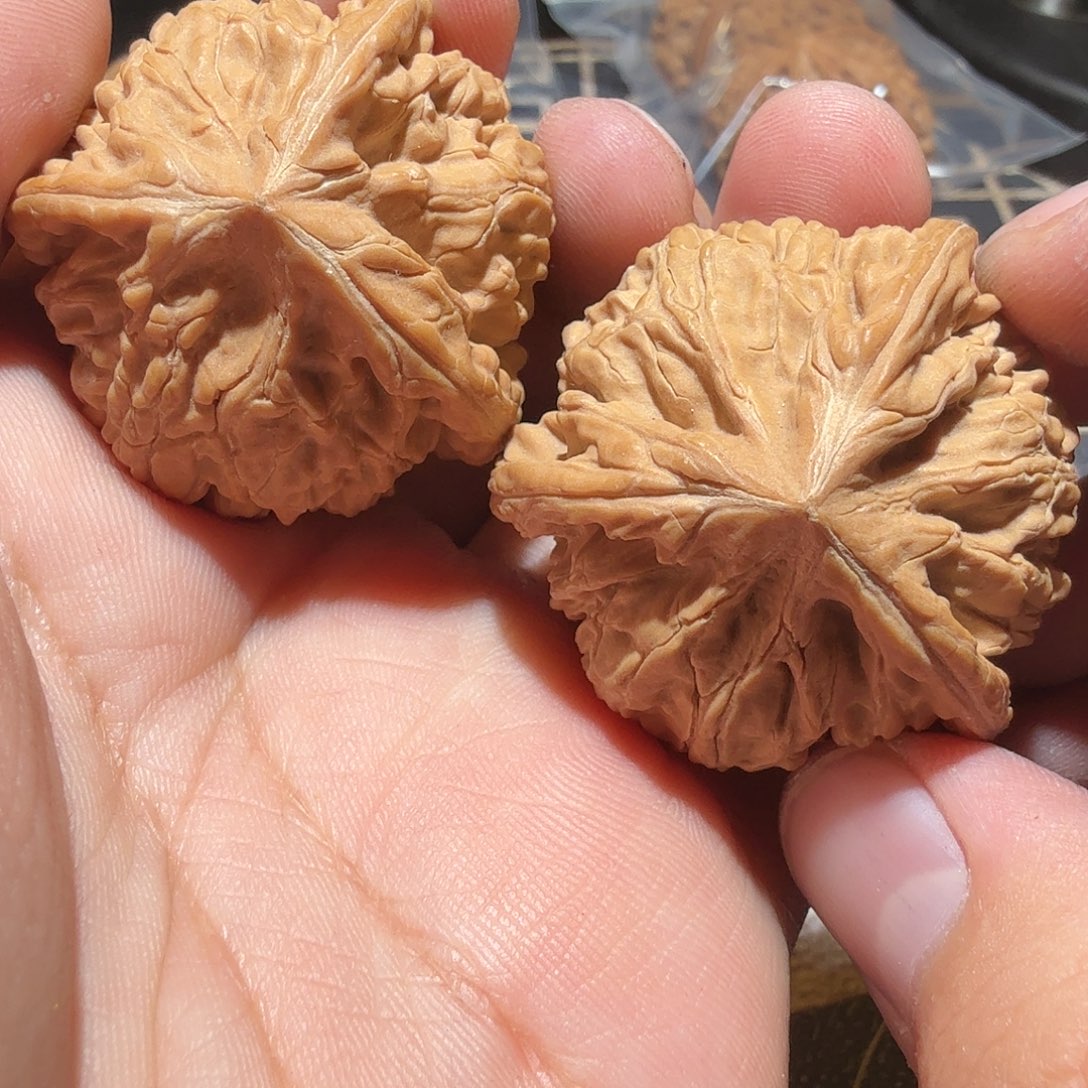 文玩核桃把件温****）御龙