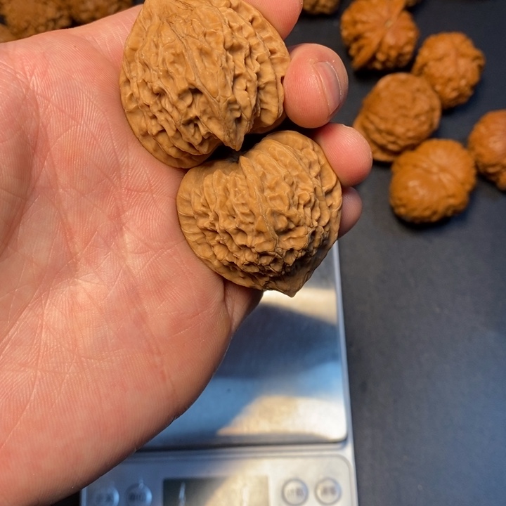 文玩核桃把件13号老树鸡心37尺