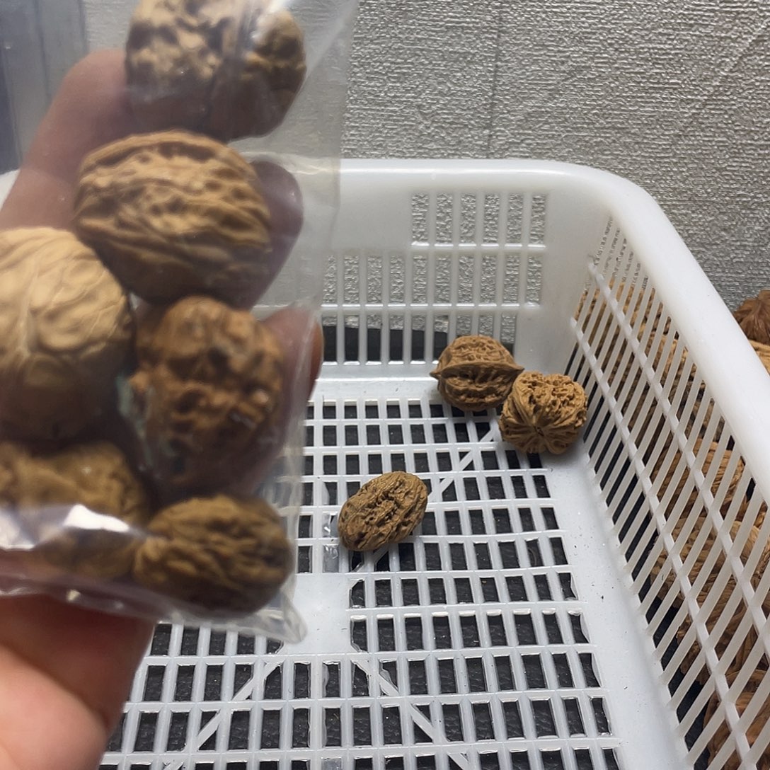 一***·文玩核桃吊坠不退不换