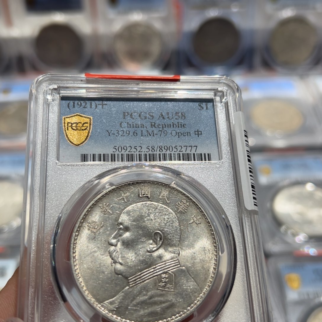 银不***…PCGS评级十年大头开口中2777