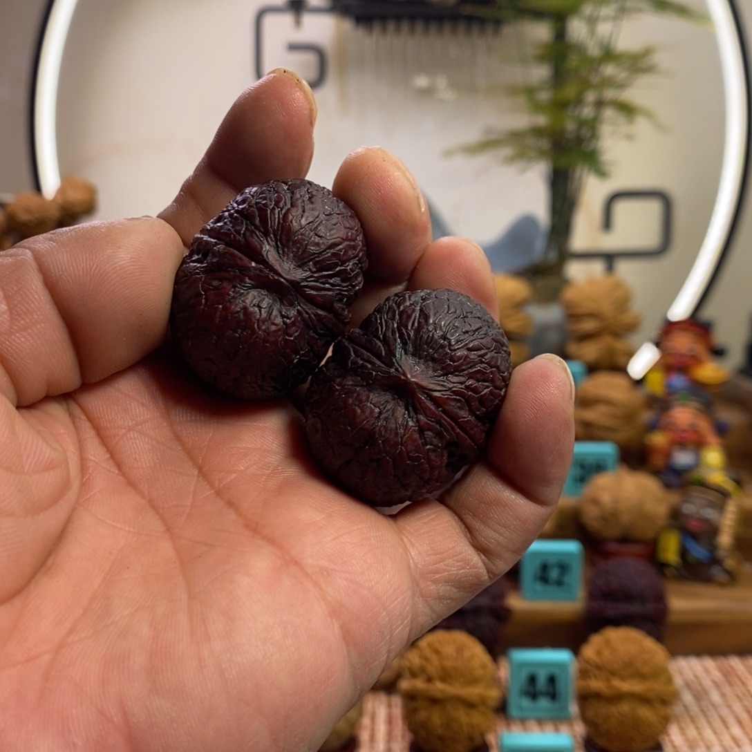 《***》龙脊菩提吊坠古树纹元宝