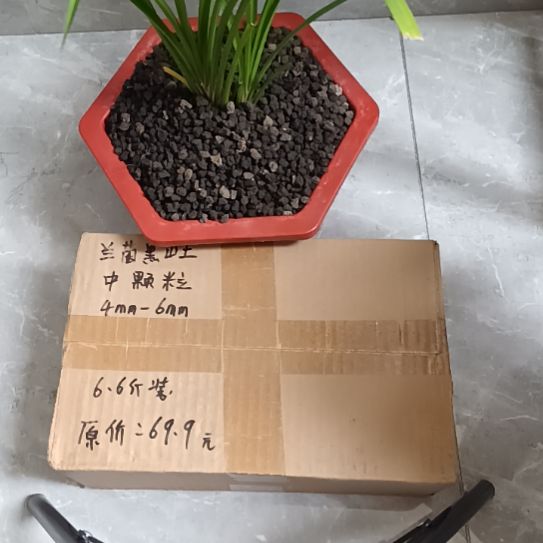 兆***辉兰菌黑山土中颗粒6.6斤