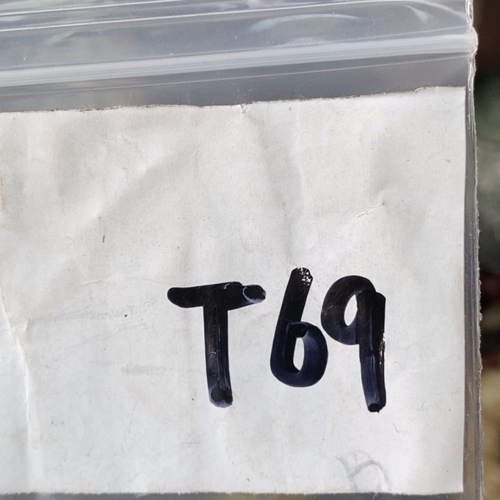 用***9金属德宝文玩专属链接