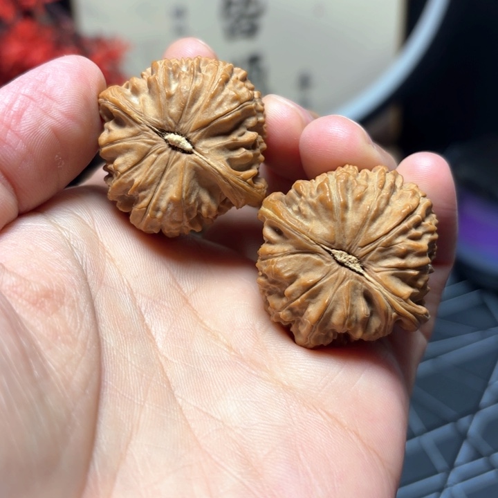 把件文玩核桃37尺全品白狮子