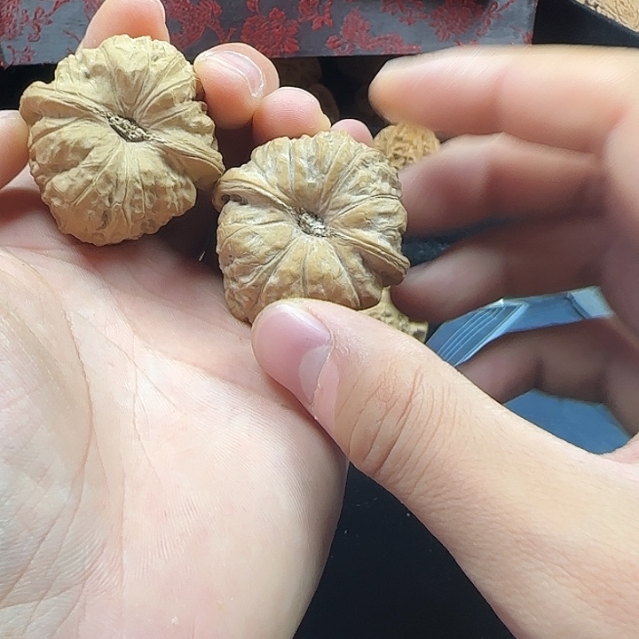 啥***呢龙脊菩提吊坠啊啊啊啊啊啊啊南瓜7