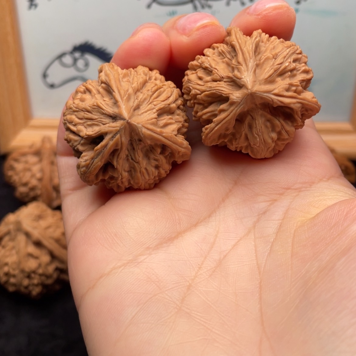 【闪购商品】文玩核桃把件35全品文山奔