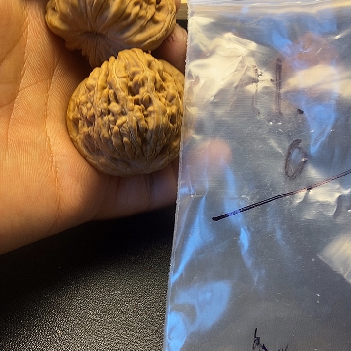 炸***块核桃十二号文玩手把件