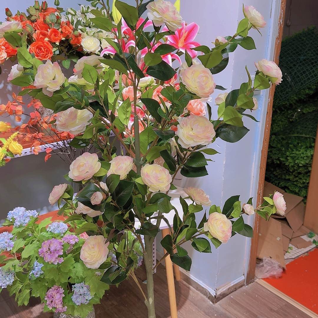 茶花树，淡粉色10支送花人