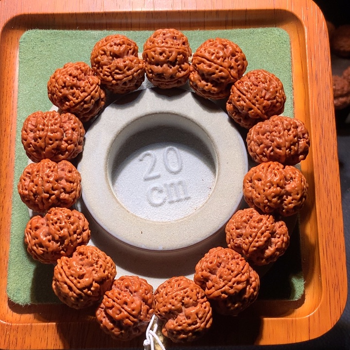 手串金刚菩提23+朱雀梅花