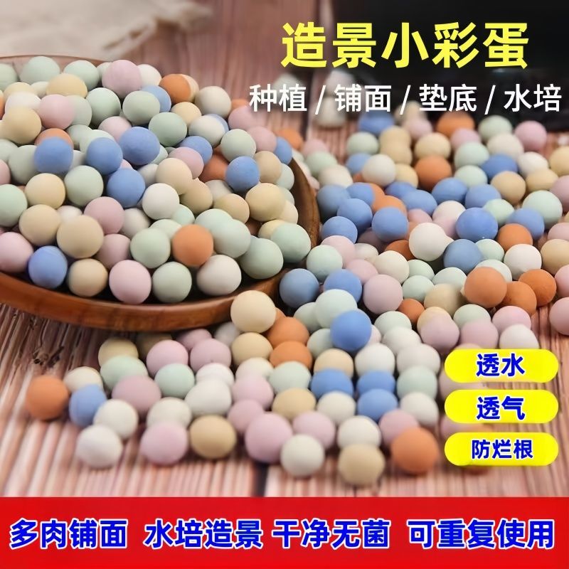 七彩色颗粒多肉铺面3斤（满15.8包邮）