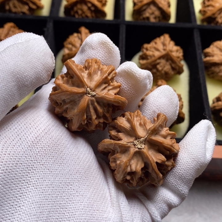 良***光盘山得得得得得得得