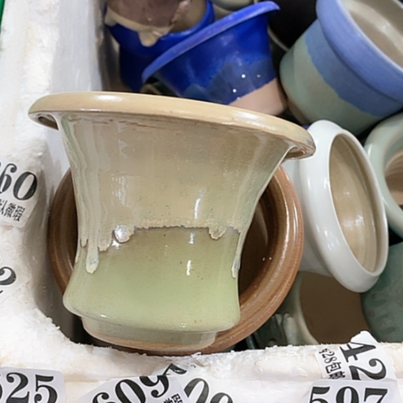 【闪购商品】红陶口9.5