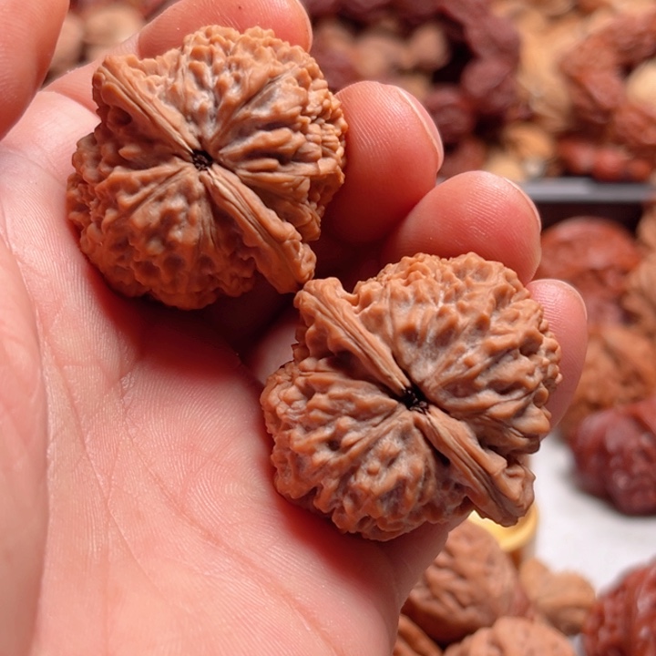 冰***。把件文玩核桃野生晋公子树头