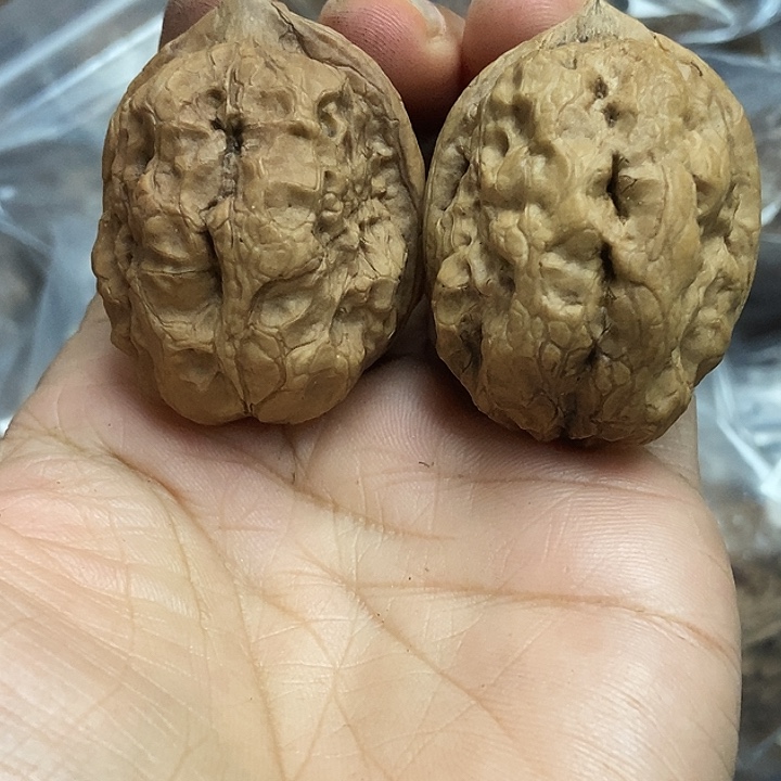 把件文玩核桃云南铁核桃基地23