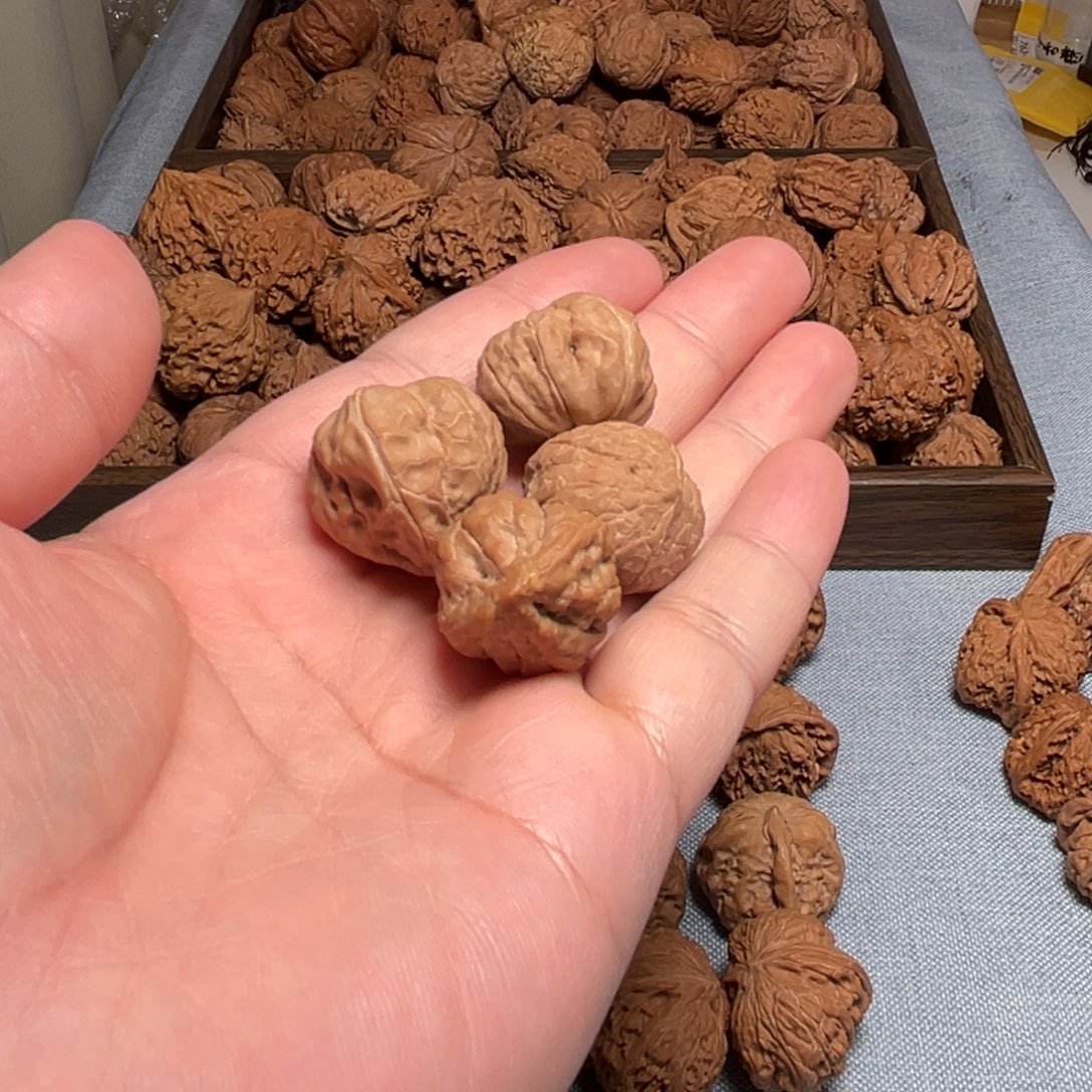 园***哥核桃核桃核桃核桃