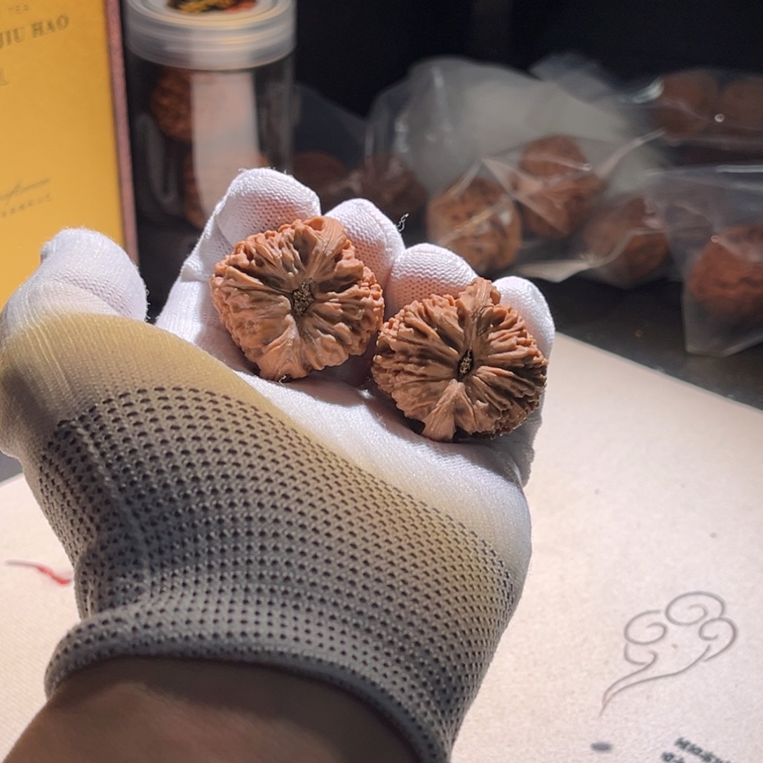 无***城南疆南疆南疆南疆 蹑手蹑脚 