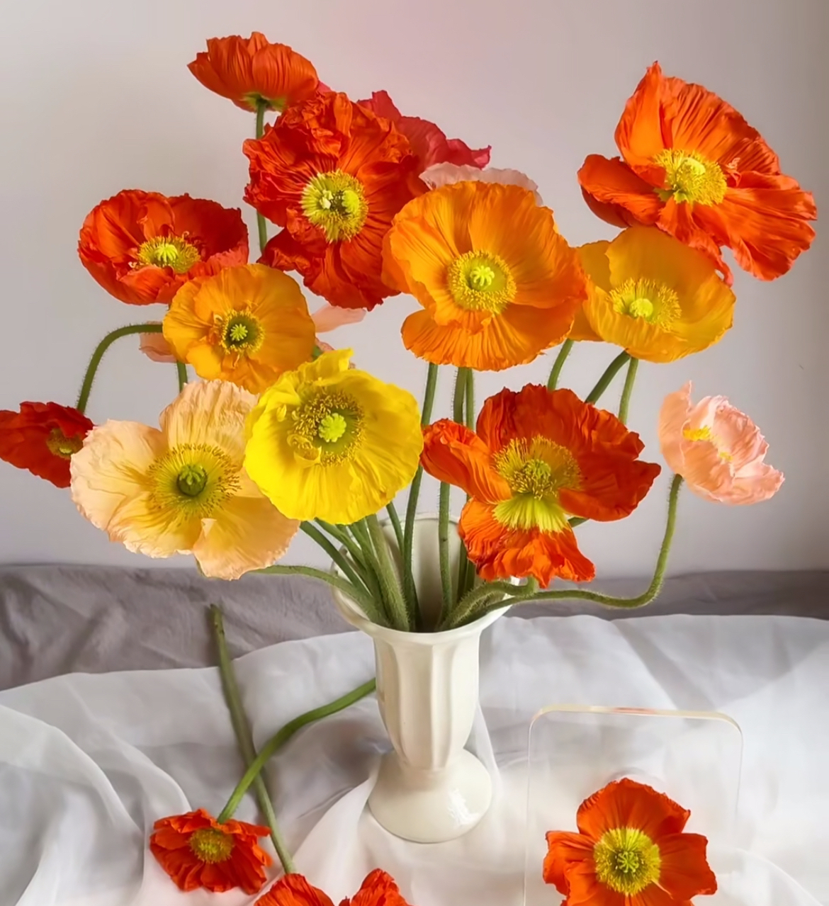 加购丨虞美人一扎（不可凑单）满两单包邮可拍【带包装醒花】