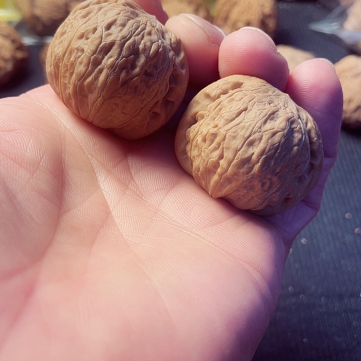 文玩核桃吊坠清*文玩