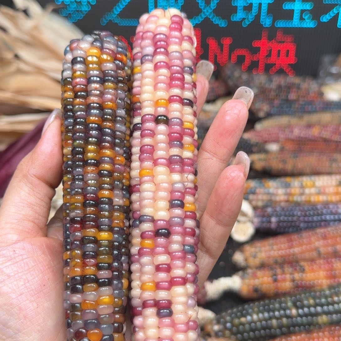 柏香籽/百香籽吊坠颜*九