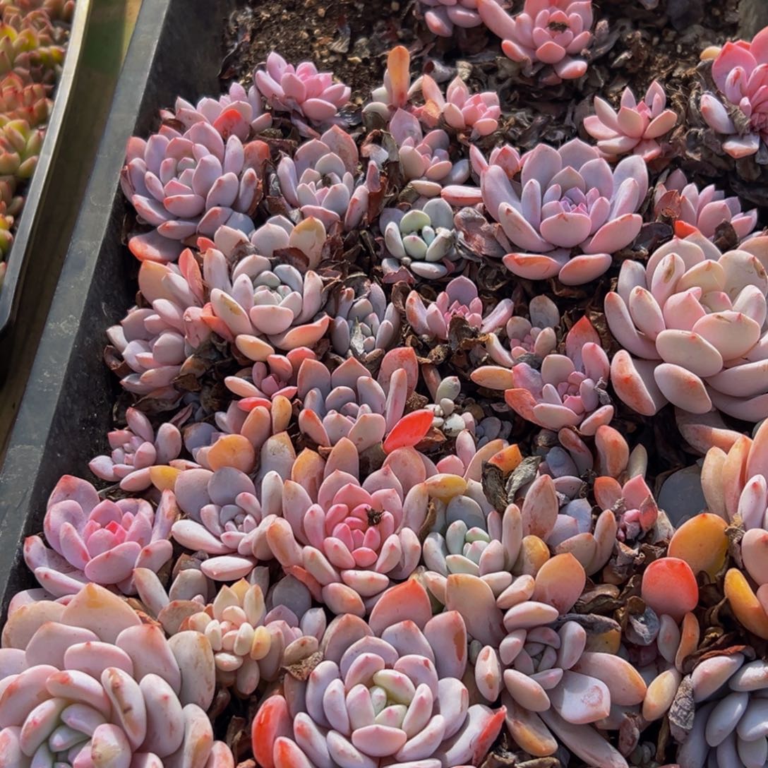 748点的点点滴滴点点滴滴