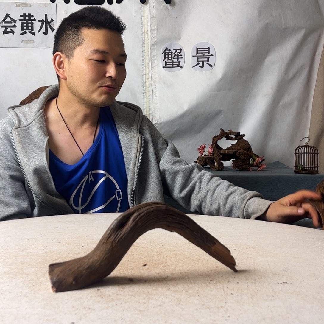 ?***?沉木造景爬宠造景