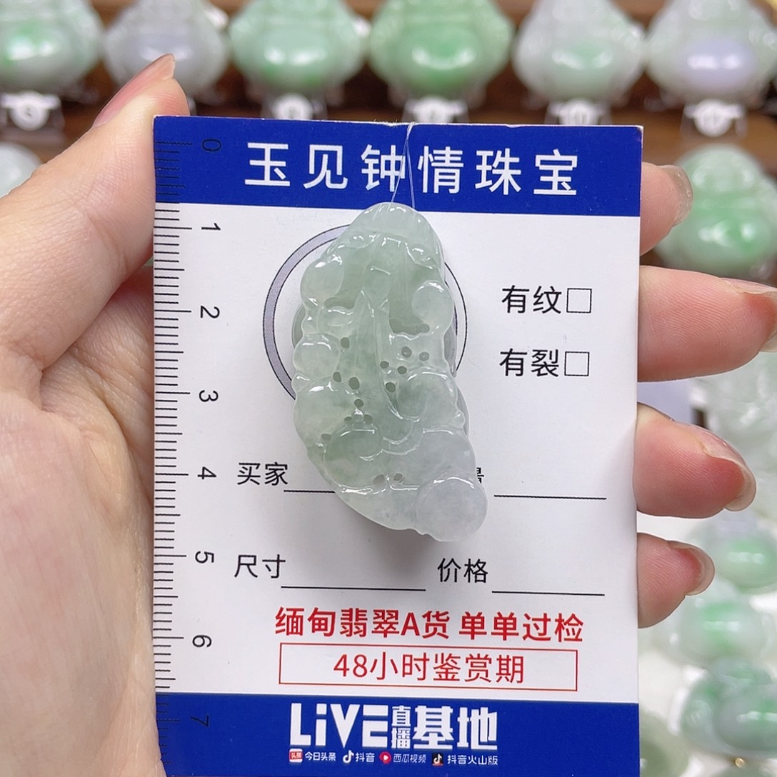 翡翠未镶嵌颈饰貔貅