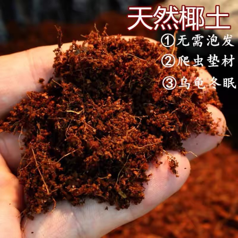 无菌免泡椰土沙爬宠垫材甲虫独角仙长戟垫材冬眠蜘蛛保湿用品