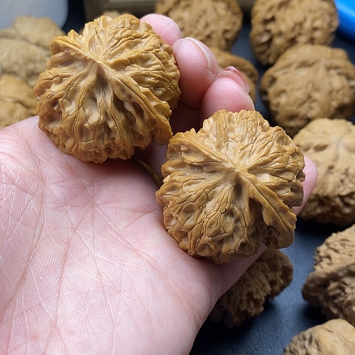 龙脊菩提吊坠萍果43