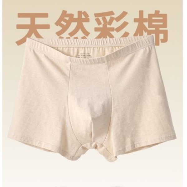 新疆天然彩棉男士平角短裤三条装透气98008