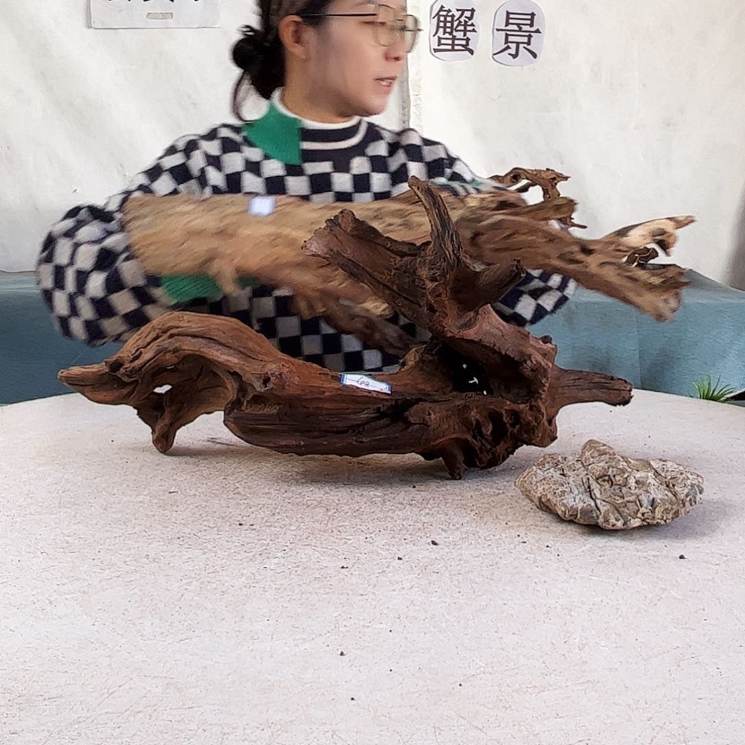 沉木造景爬宠造景
