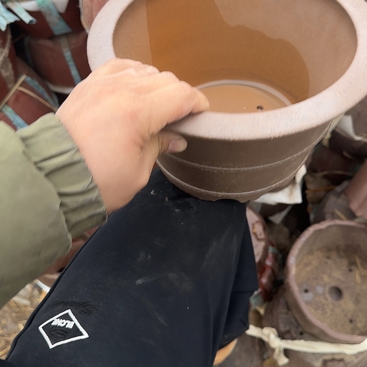 是一个不知名作家与著名导演兼电影演员们之间互相竞争关系也